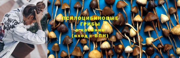 МДПВ Алзамай